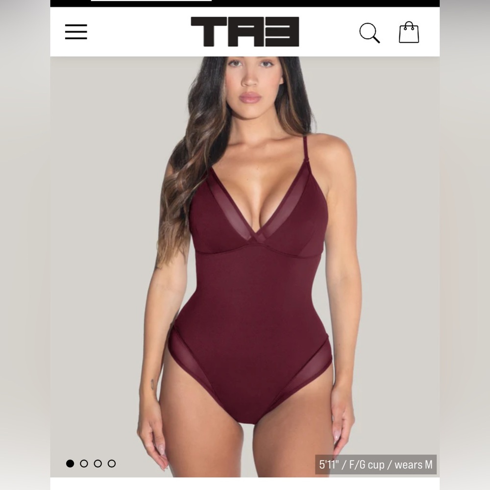 TA3 Swim Meshy Dark Cherry Waist-Cinching One Piece Swimsuit Regular/long; XL